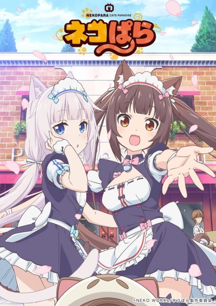 Nekopara (TV)