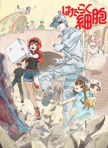 Cells at Work! (ITA)