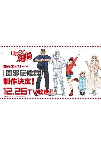 Cells at Work Special (ITA)